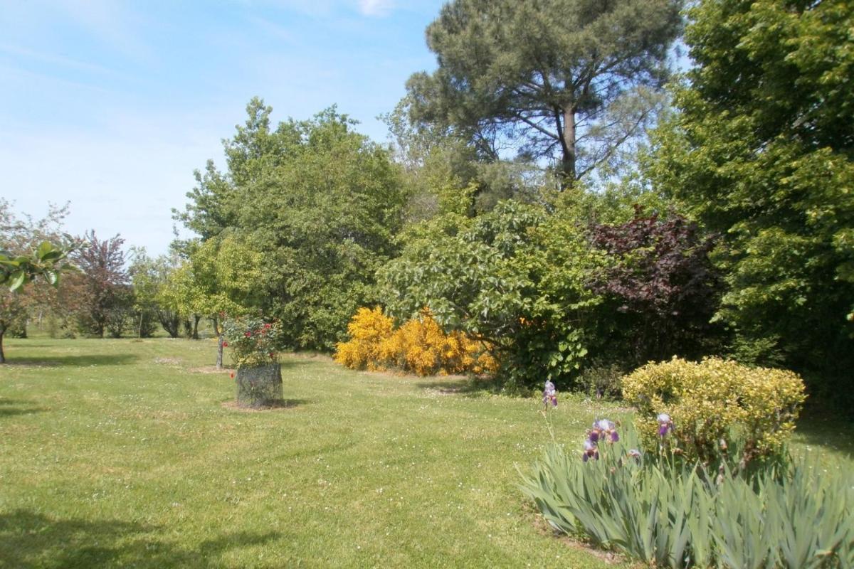 Les Glycines Villa Saint-Pierre-de-Buzet Eksteriør bilde